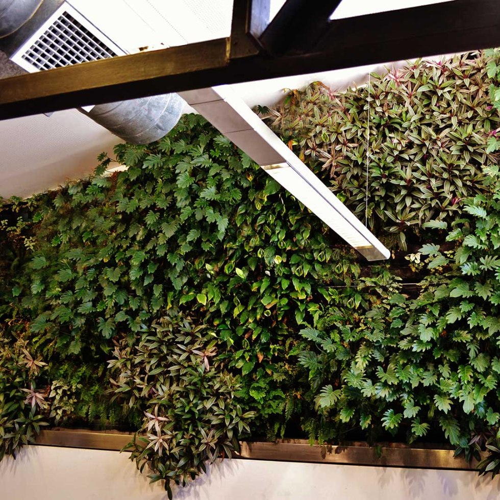 livingwalls