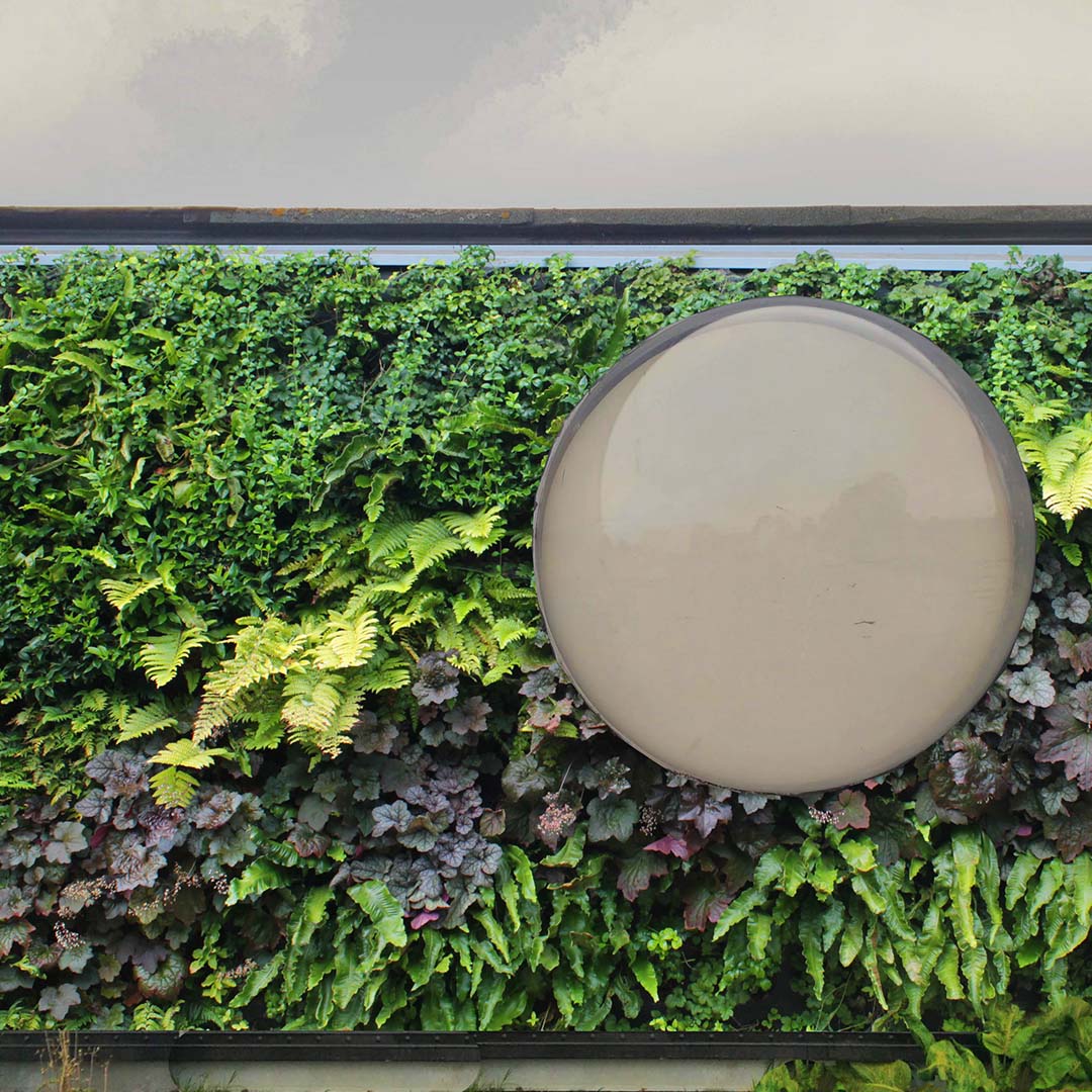 livingwalls bristol