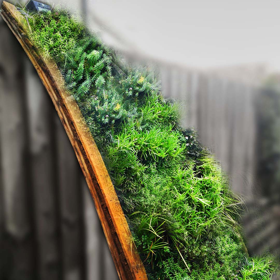 livingwall dome