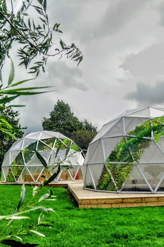 livingwall design north west