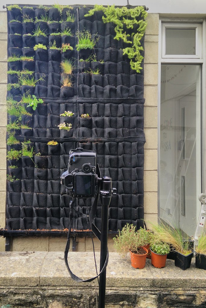 livingwall install wales