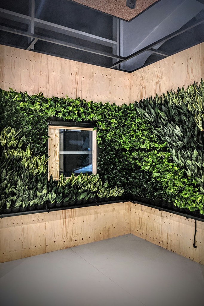 greenwall installation south west