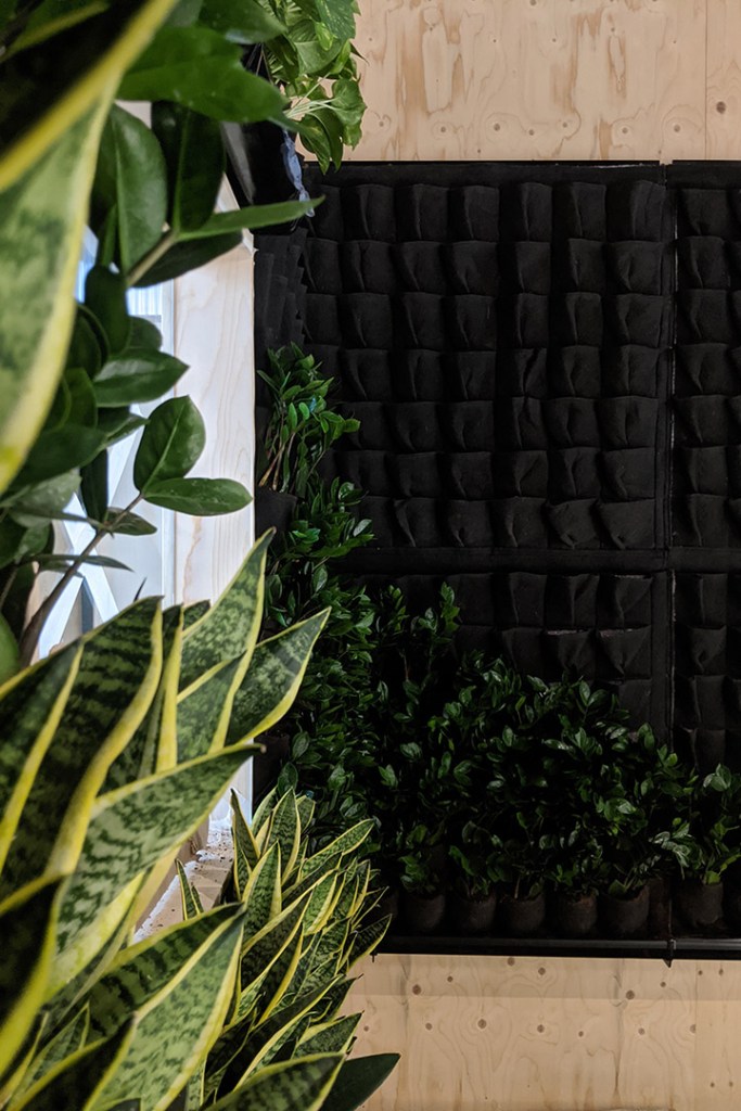 greenwall installation south west