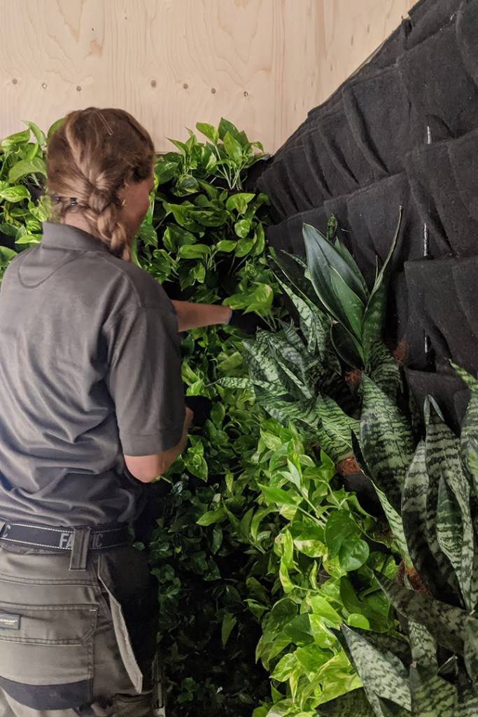 greenwall installation south west