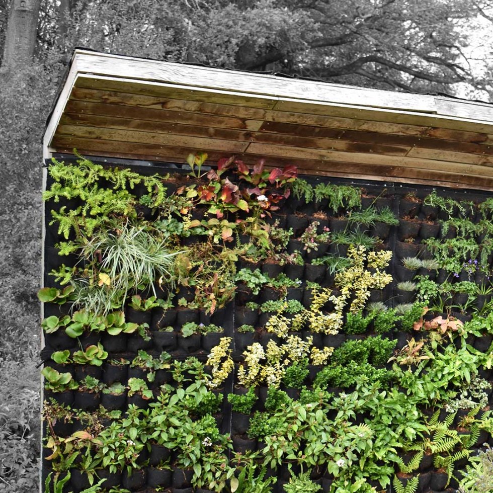 living greenwall