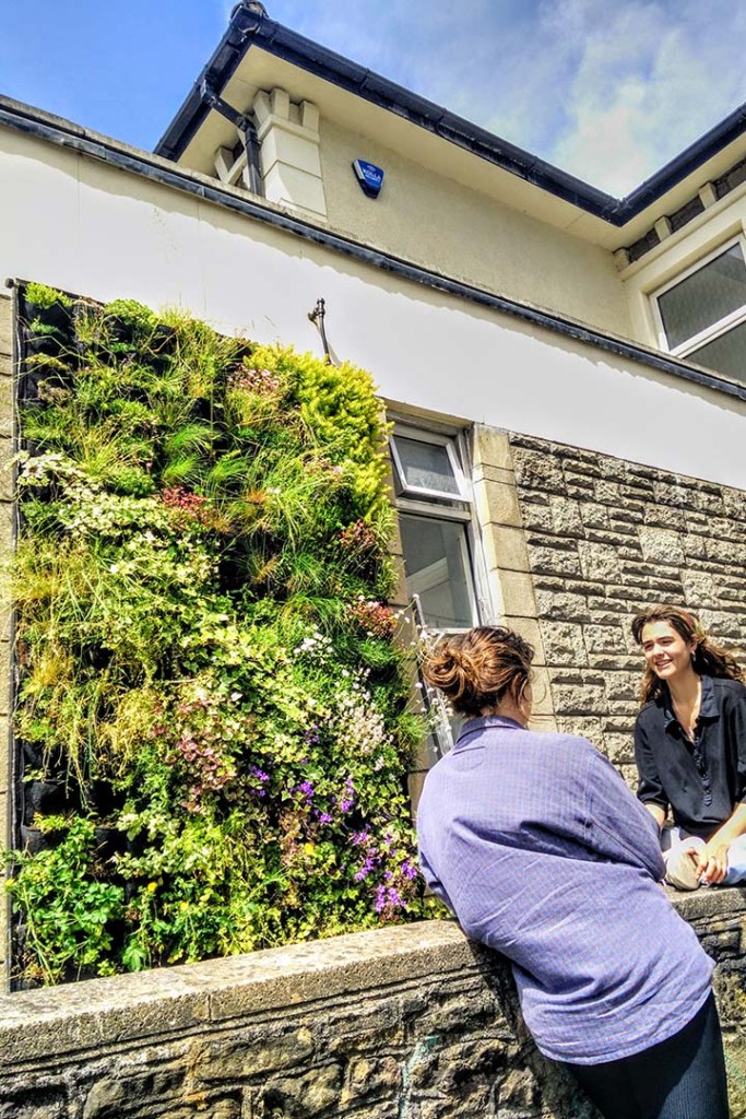 livingwall install wales