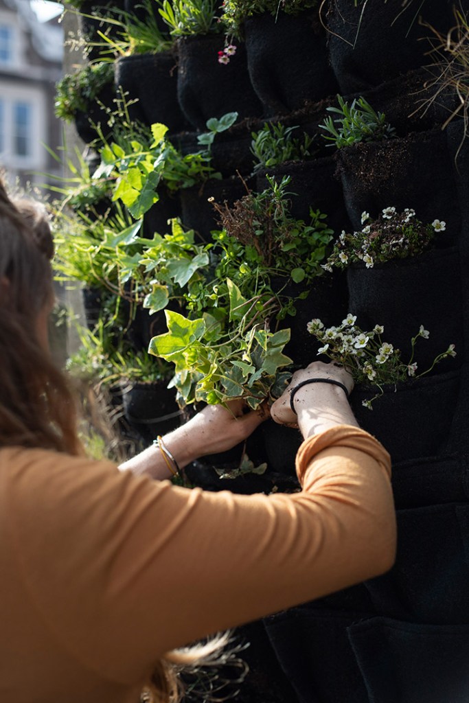 greenwall installer south west