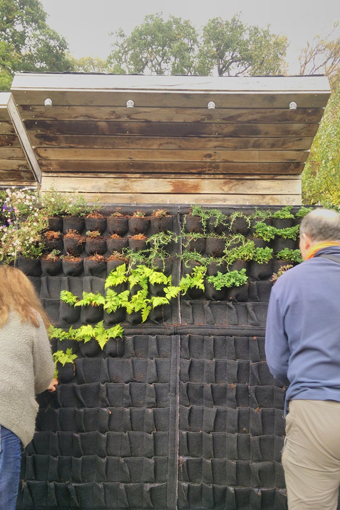 Livingwall Greenwall Vertical Garden in Scotland