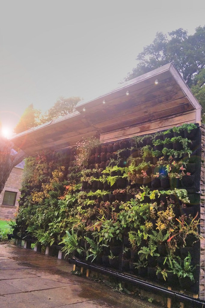 Livingwall Greenwall Vertical Garden in Scotland