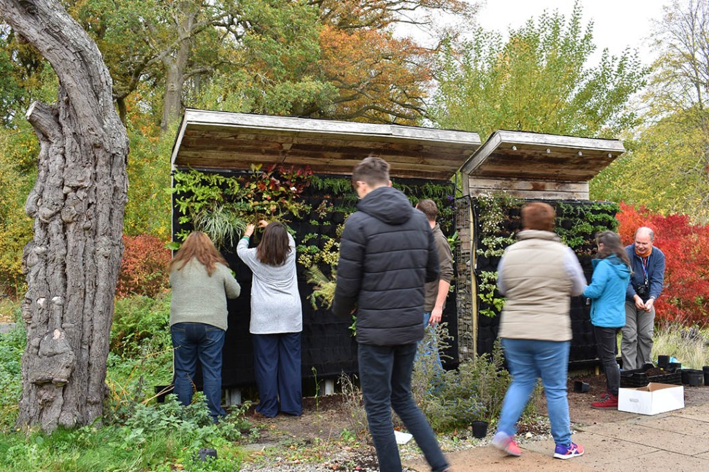 Livingwall Greenwall Vertical Garden in Scotland