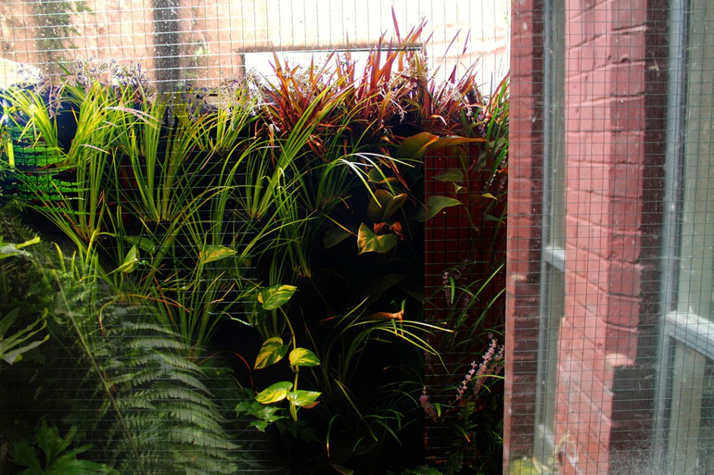 Vertical Garden Livingwall Green wall Nottingham