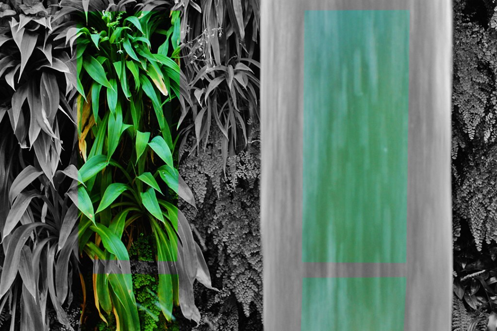 Vertical Garden Livingwall Green wall Nottingham