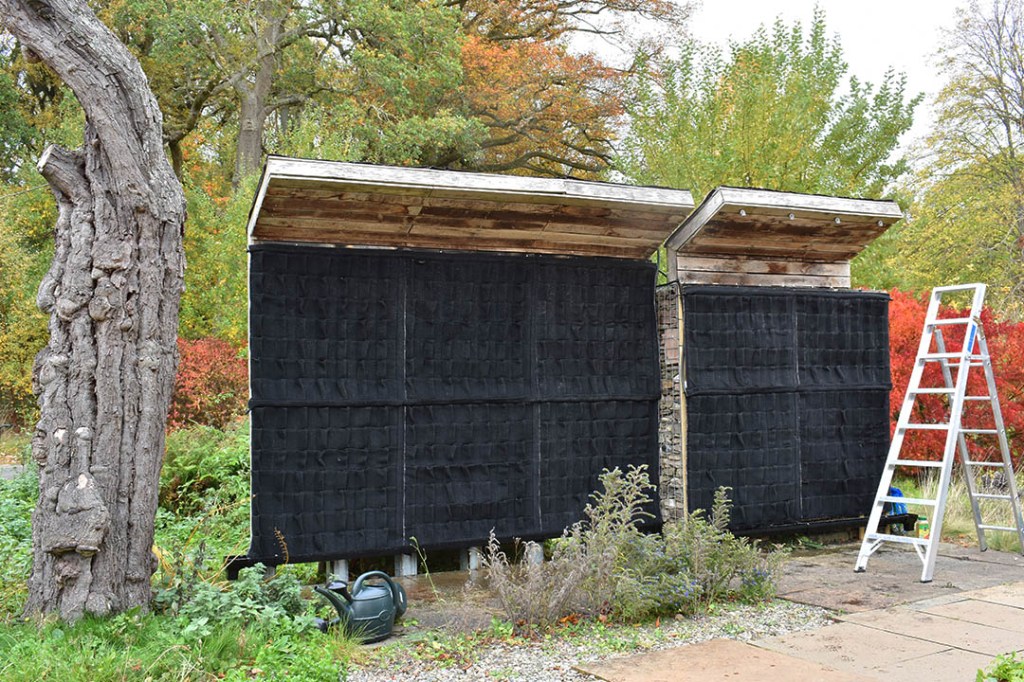 Livingwall Greenwall Vertical Garden in Scotland
