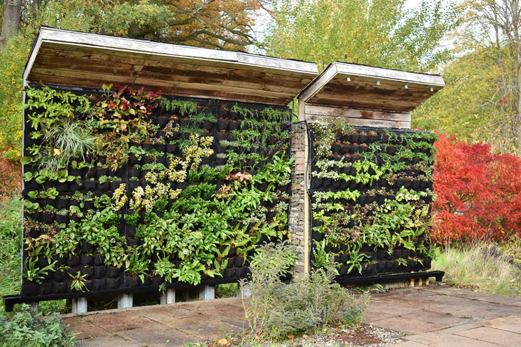 Livingwall Greenwall Vertical Garden in Scotland
