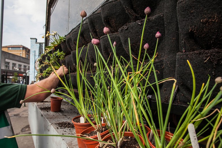 Greenwall in Bristol