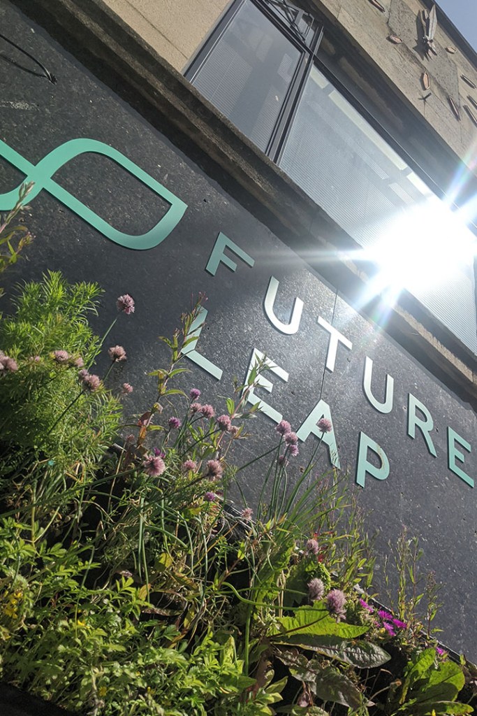 Greenwall in Bristol