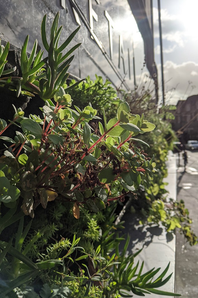 Greenwall in Bristol