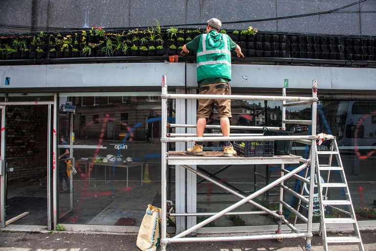 Greenwall in Bristol