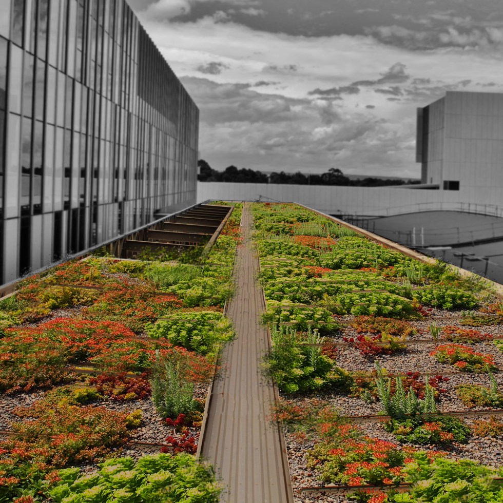 Eco garden green gardener bristol livingwall vertical garden green wall green roof landscaper garden south west uk